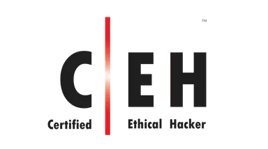 CEHv13 (Complete Series)  + iLabs w/ Exam Voucher