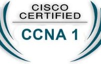 CCNA 1 ( Free / Gratuit )